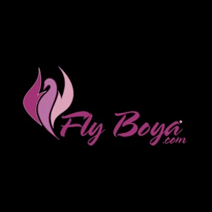 Fly Boya