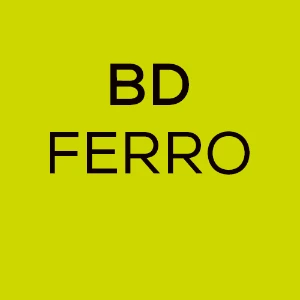 BD FERRO Franchising