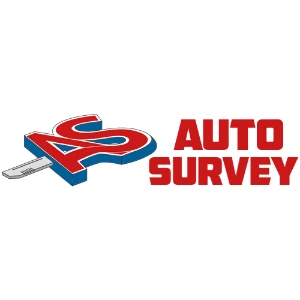 Auto Survey